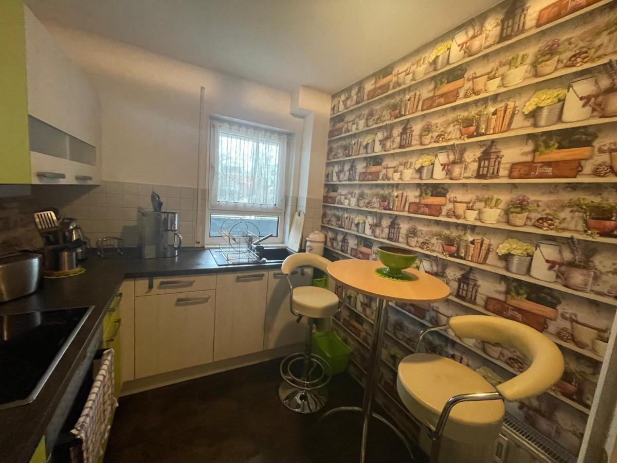 Moeblierte Wohnung Fuer Geschaeftsreisen/Ferienwohnung Plauen Stadtmitte المظهر الخارجي الصورة