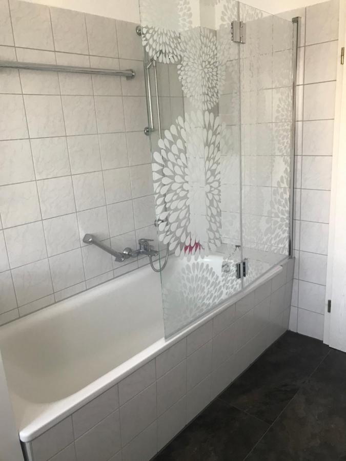 Moeblierte Wohnung Fuer Geschaeftsreisen/Ferienwohnung Plauen Stadtmitte المظهر الخارجي الصورة